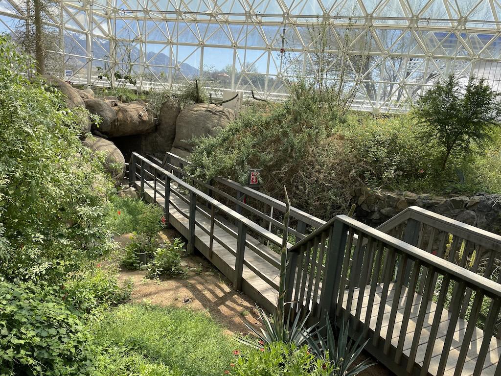 Wooden walkway inside one of the biomes Luna saw visiting Biosphere 2 with plants and big rocks surrounding it