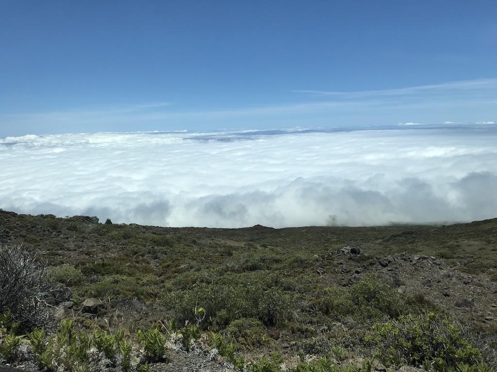 View clouds rolling in on landscapes from the side of the road on Luna’s road trip to Haleakala National Park 