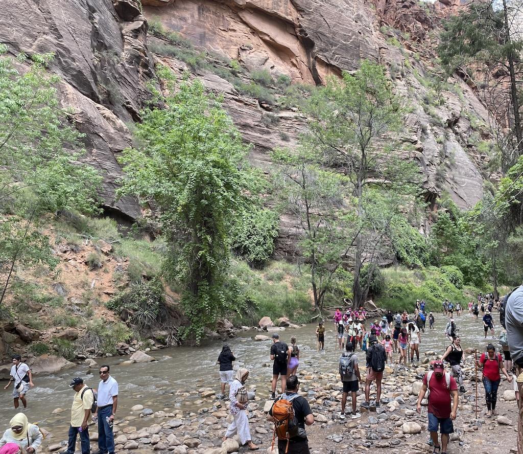 Crowds of people in river on the Narrows hike at Zion National Park, with rocky mountains and trees in the background