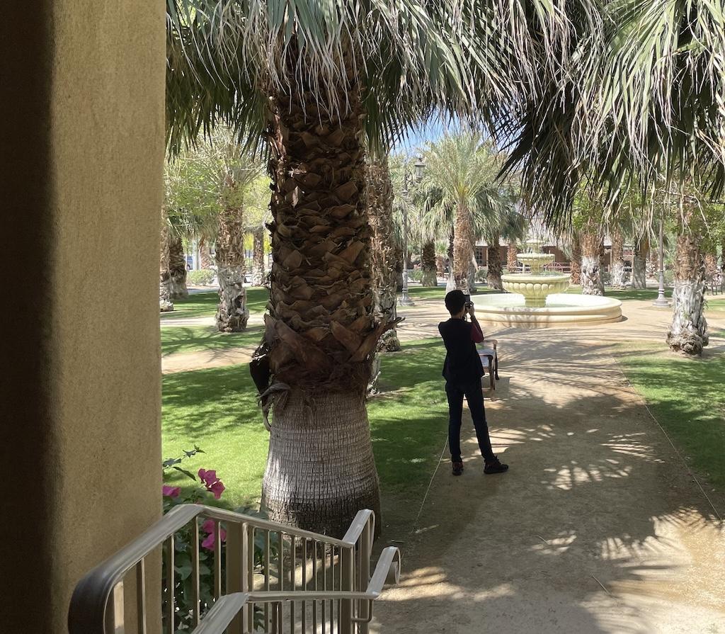 Water fountain surrounded by big palm trees with a person taking a picture at the Ranch in Death Valley, California