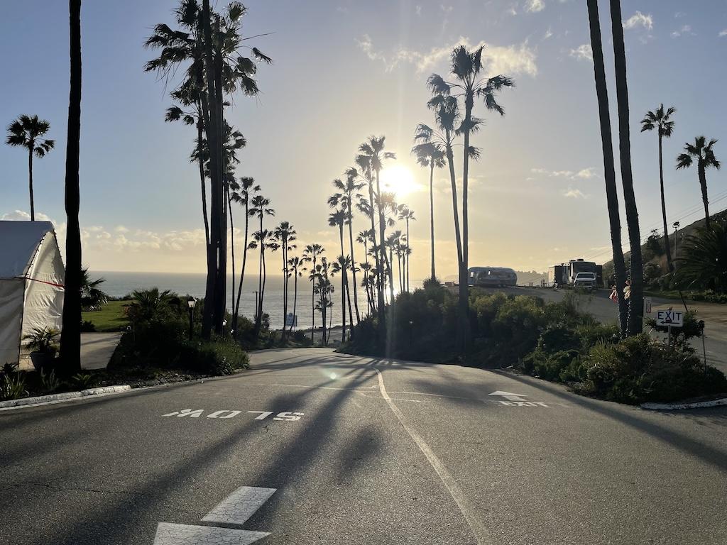 Palm trees lining a road at Surf Outpost with the sun and ocean in the background before sunset