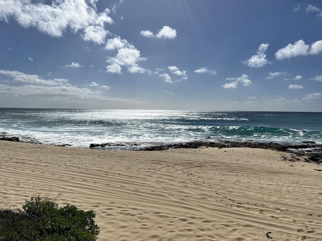 Beach at Ka’ena Point State Park in Oahu, Hawaii with the Pacific Ocean in the background