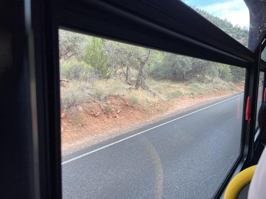 View that Luna saw while on the bus on Zion Canyon Scenic Drive in Zion National Park in Utah