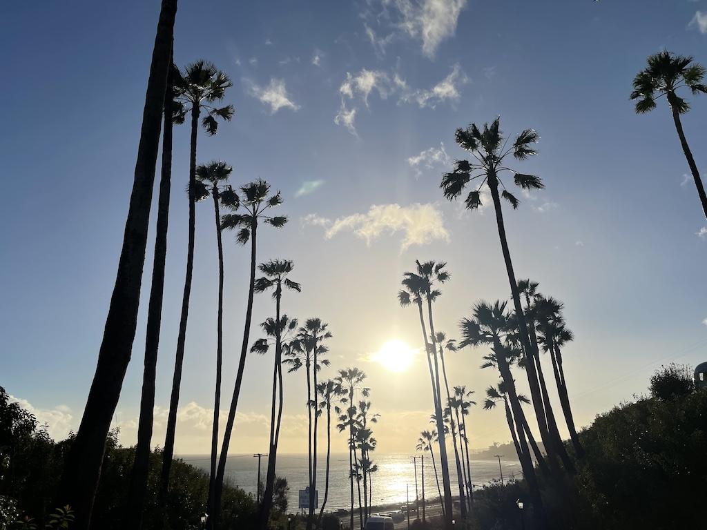 View of palm trees and the Pacific Ocean at Surf Outpost, in Malibu, California