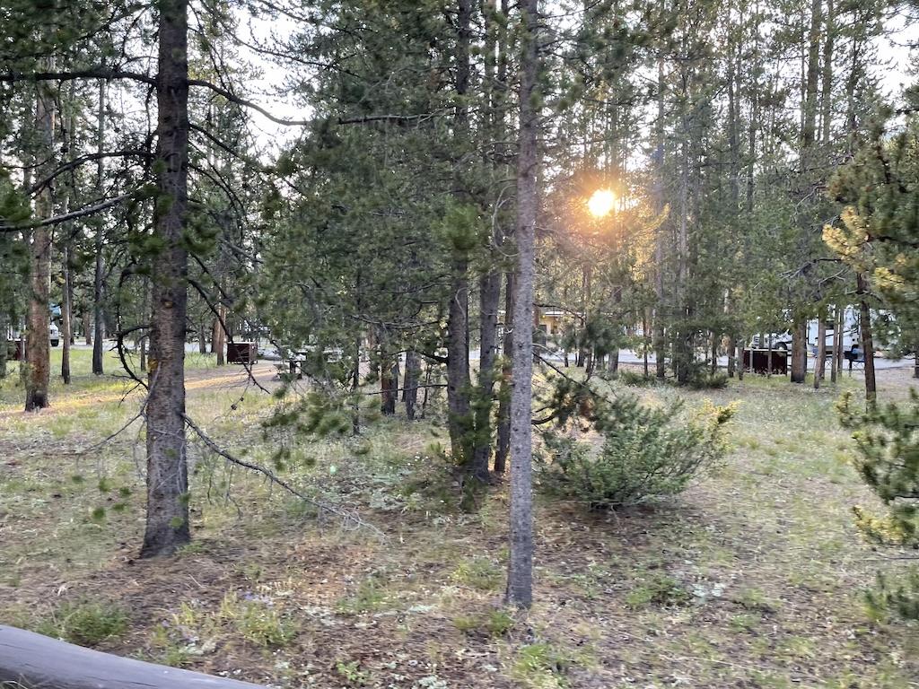 Sunset through the trees at Madison Campground in Yellowstone National Park, Wyoming