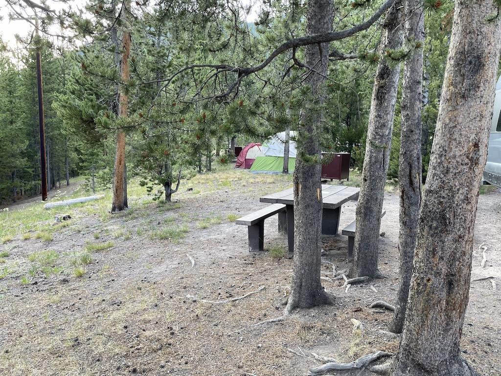 Tents within the trees at Madison Campground in Yellowstone National Park, Wyoming