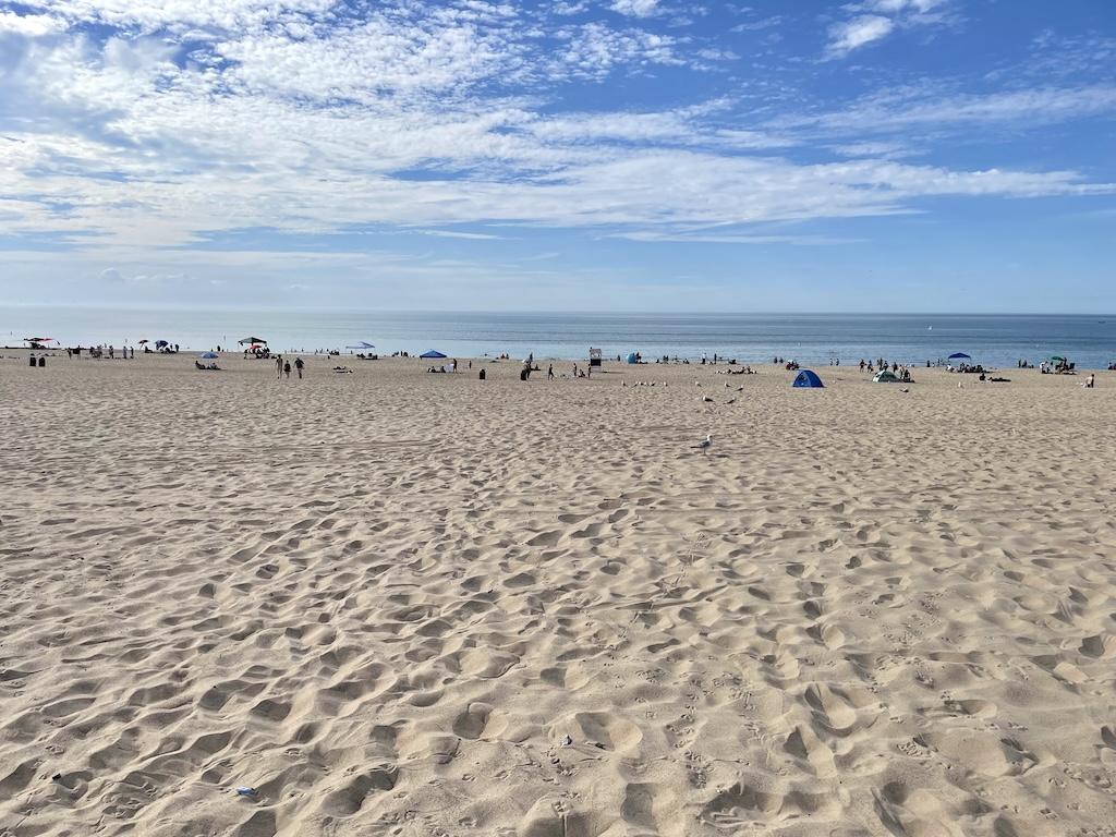 View of people at the beach in distance at Indiana Dunes State Park