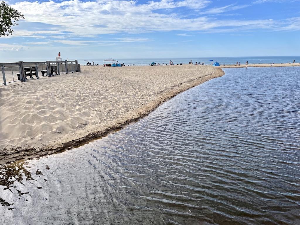 View of people at the beach in distance at Indiana Dunes State Park
