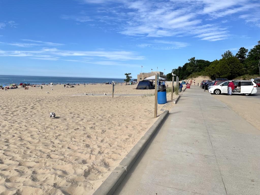 View of beach Luna saw while walking the boardwalk at Indiana Dunes State Park