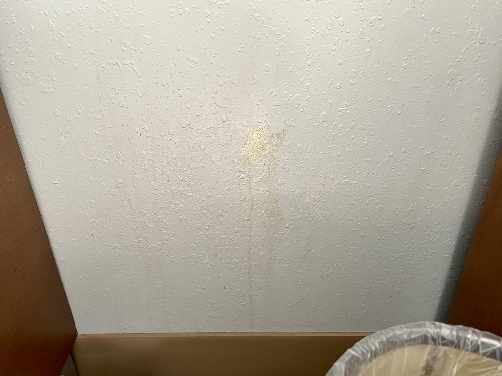 Liquid on wall in hotel room that Luna stayed at in the Midwest