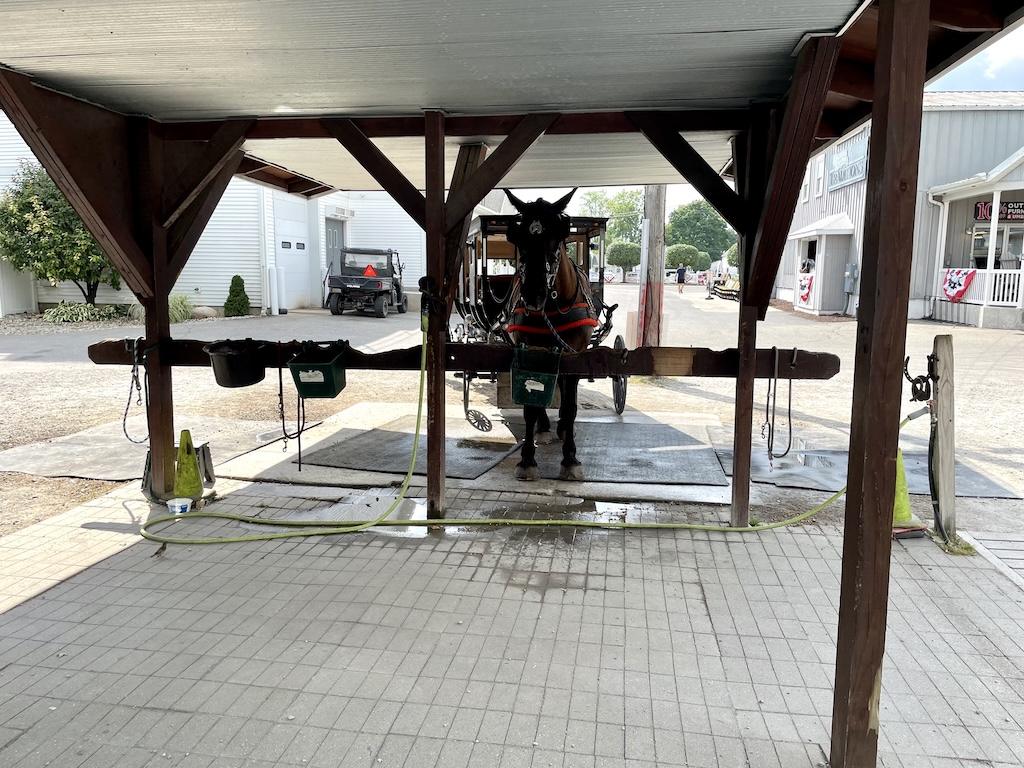 View of horse and buggy at Shipshewana, Indiana that Luna saw while visiting