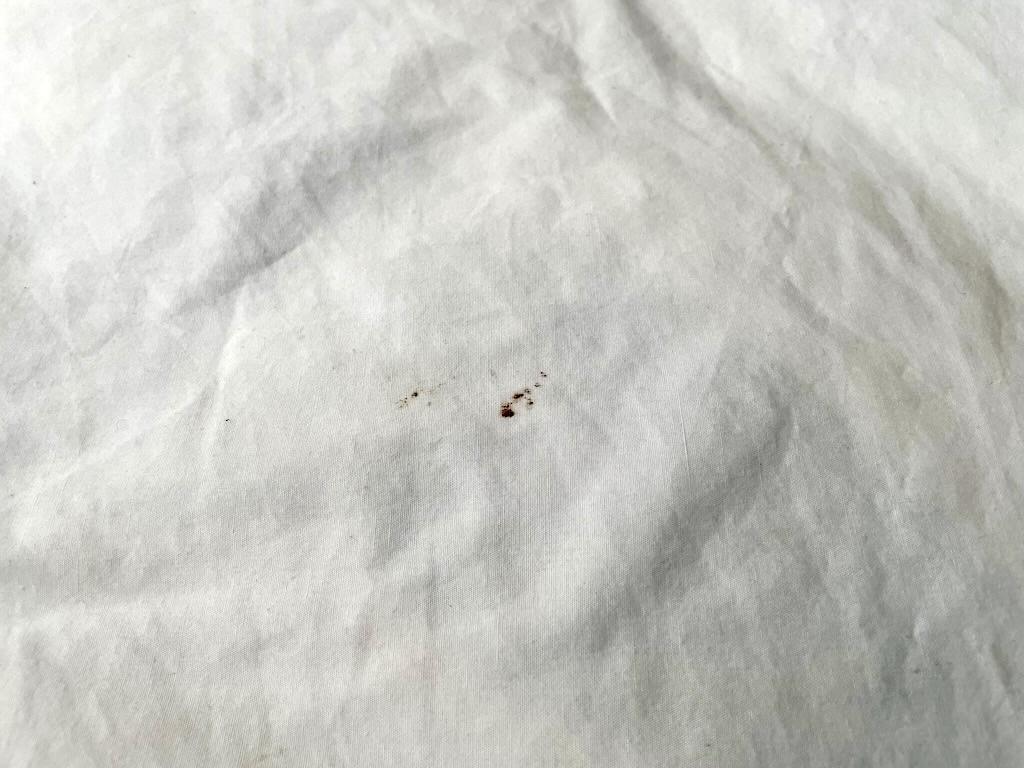 Stains on sheets in hotel room that Luna stayed at in the Midwest