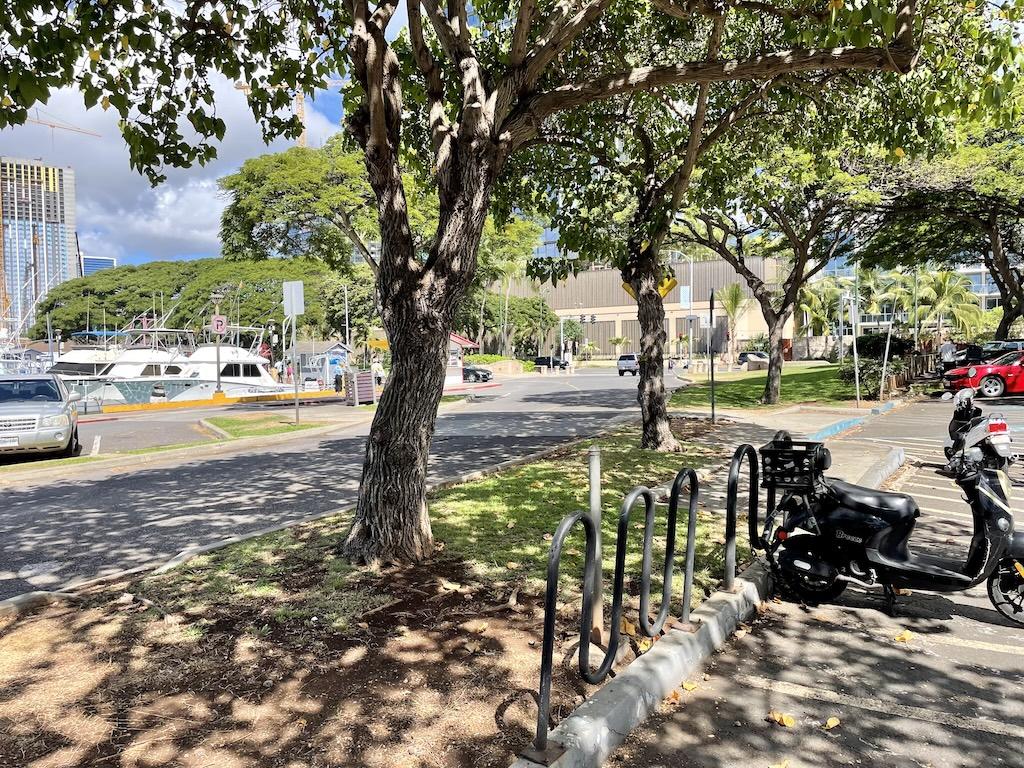 View of parking lot where Luna went on a catamaran boat tour in Oahu, Hawaii