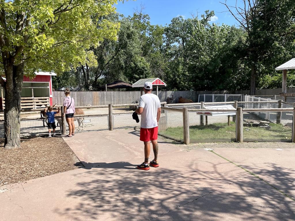 People looking at animals at the petting area at Potawatomi Zoo in Indiana
