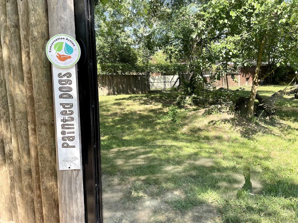 View of the Painted Dog exhibit that Luna saw at the Potawatomi Zoo in Indiana