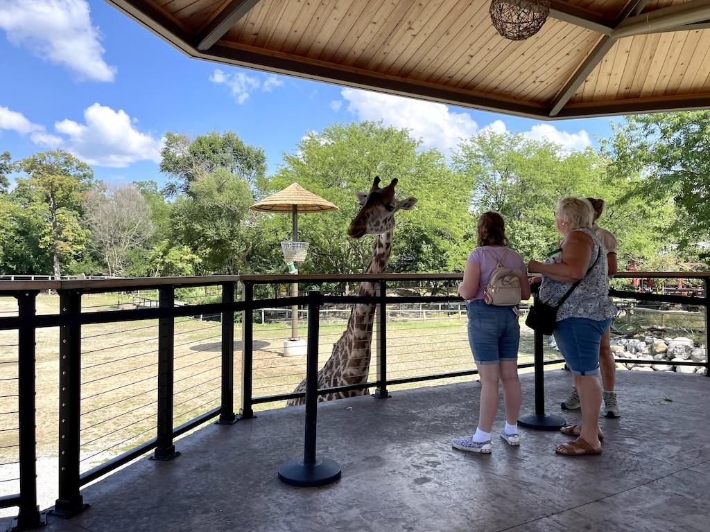 People feeding giraffe at Potawatomi Zoo in Indiana
