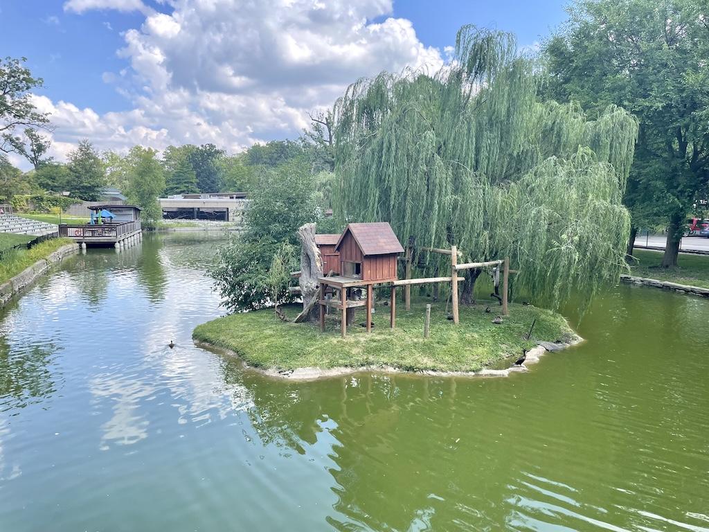 View of island with tree house and ring-tailed lemurs at Potawatomi Zoo in Indiana