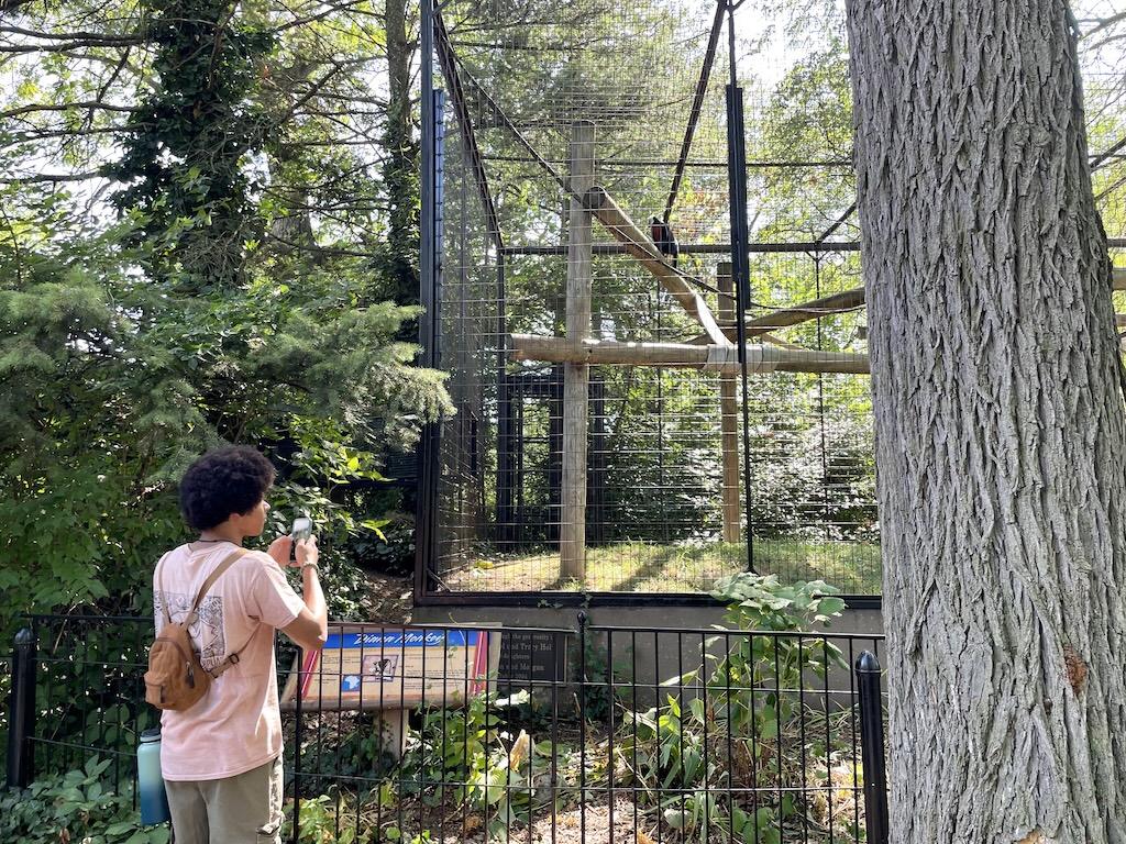 Young man looking at small monkey exhibit at the Potawatomi Zoo in Indiana
