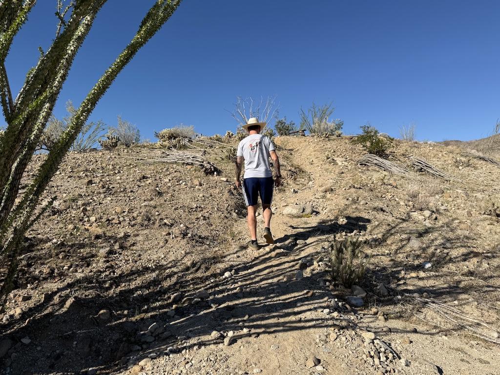 Man hiking up hill at Desert Gardens at Anza-Borrego Desert State Park in California.