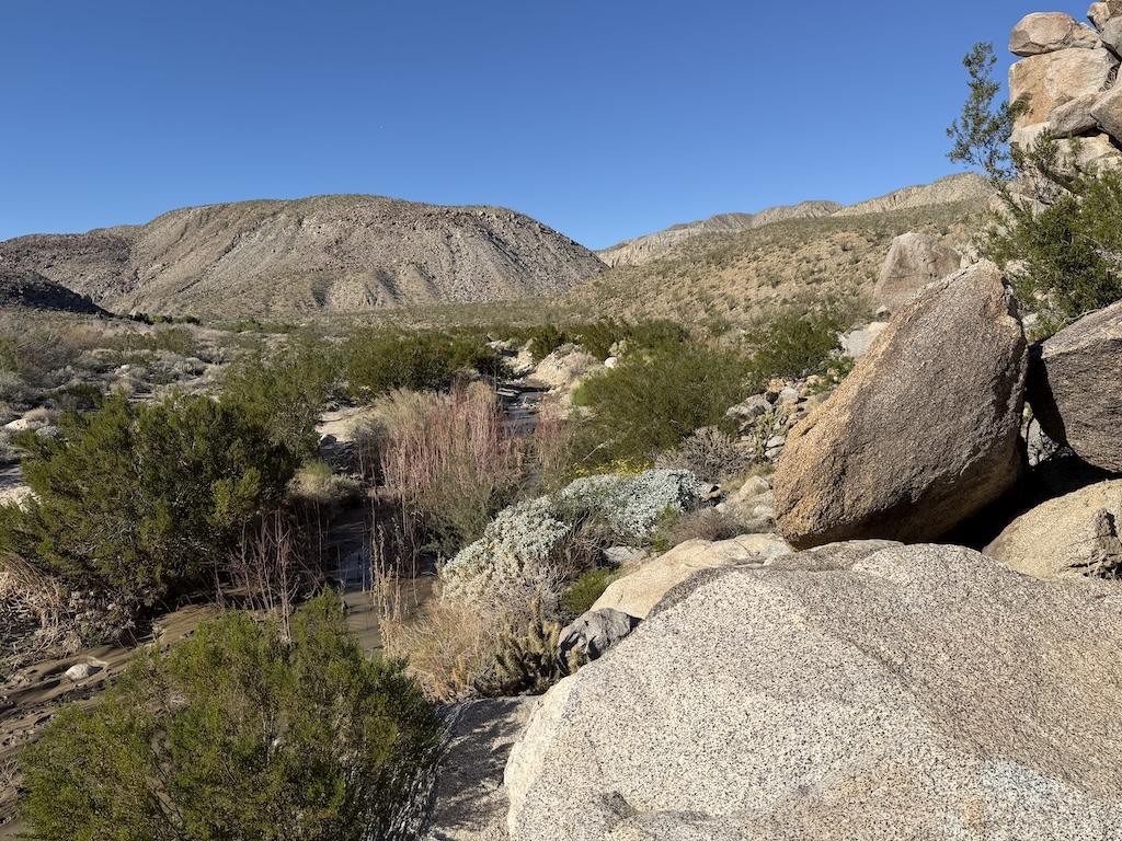 View of water and rocks at Lower Coyote Canyon, at Anza-Borrego Desert State Park, California.