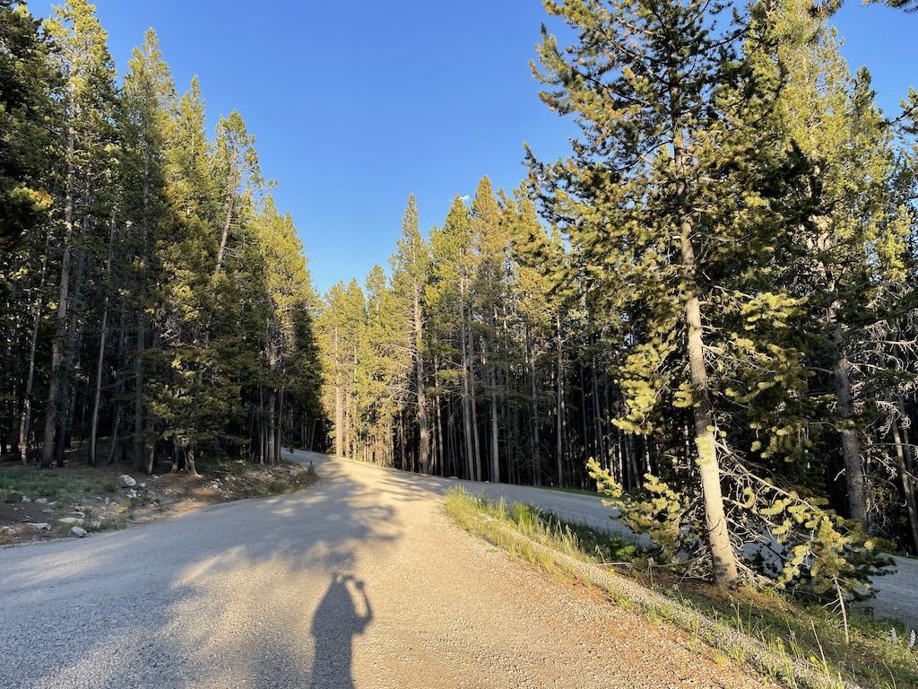 View of Luna’s shadow on dirt roads at at Lakeview Bighorn Campground, Wyoming