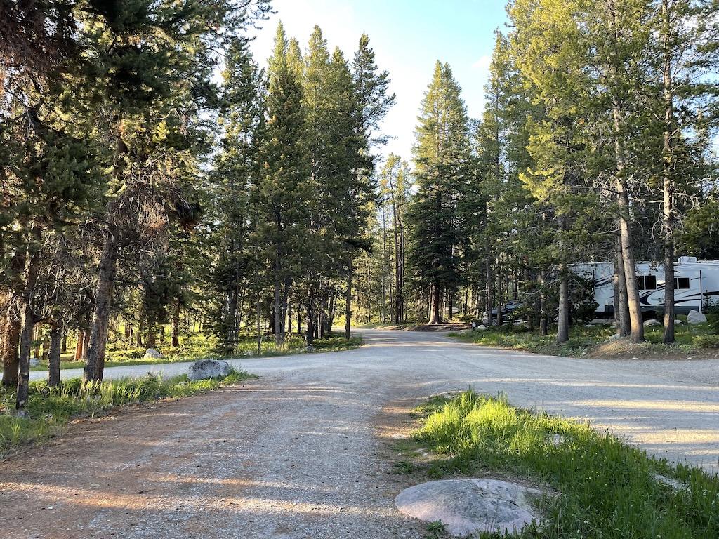 View of RV, campers and tall trees at Lakeview Bighorn Campground, Wyoming