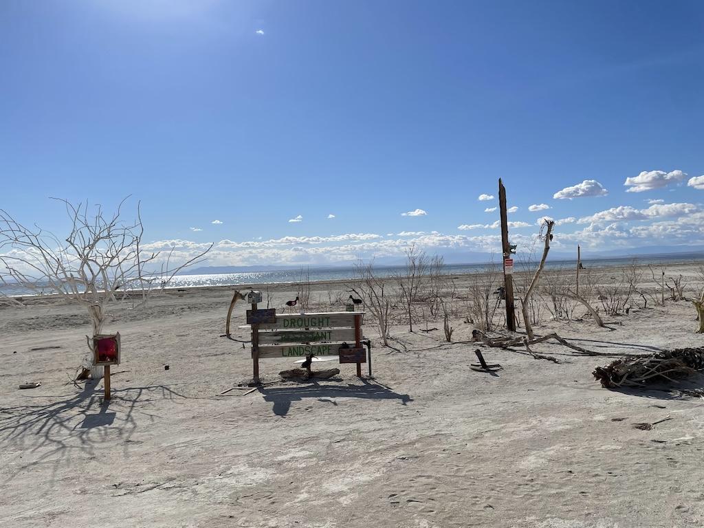 View of art at Bombay Beach by Salton Sea, California