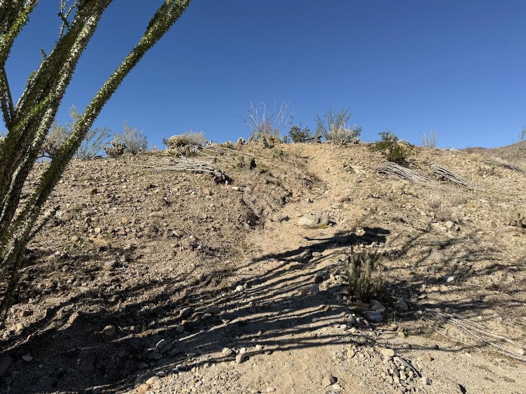Trail heading up to Desert Gardens in Anza-Borrego Desert State Park off Coyote Canyon Rd, California