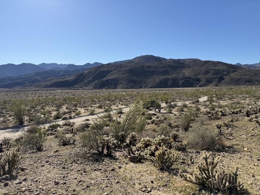 View of mountains at Desert Gardens in Anza-Borrego Desert State Park off Coyote Canyon Rd, California