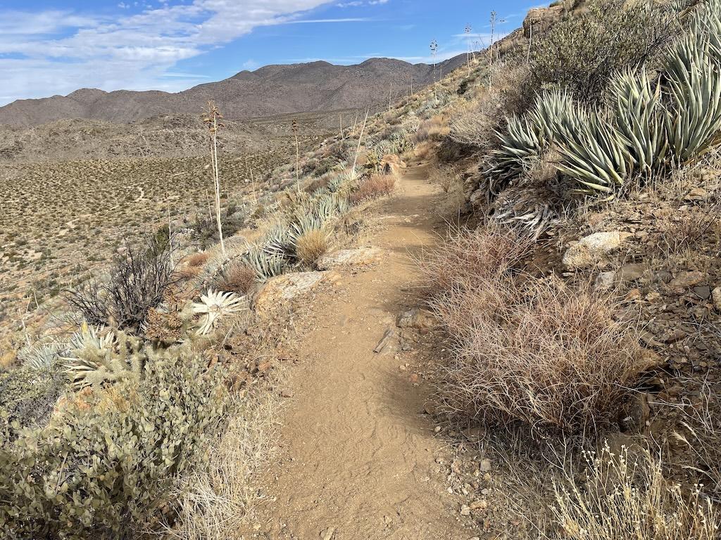Ghost Mountain trail view, Anza-Borrego Desert State Park, California