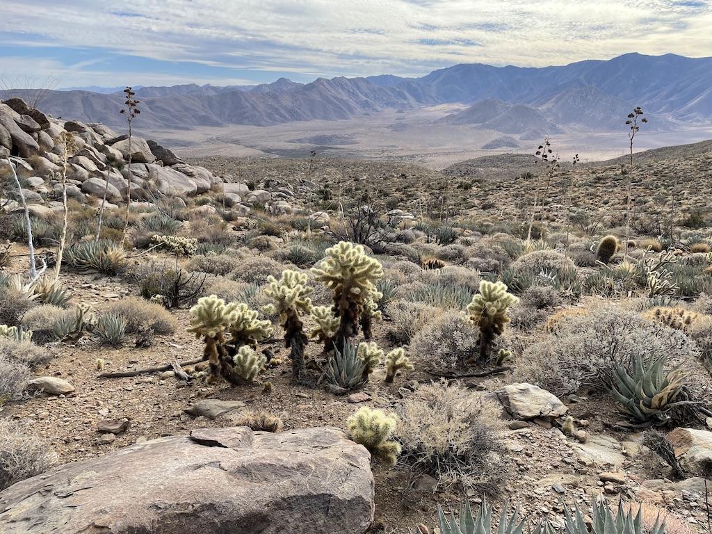 Views of mountains from the top of Ghost Mountain, Anza-Borrego Desert State Park, California