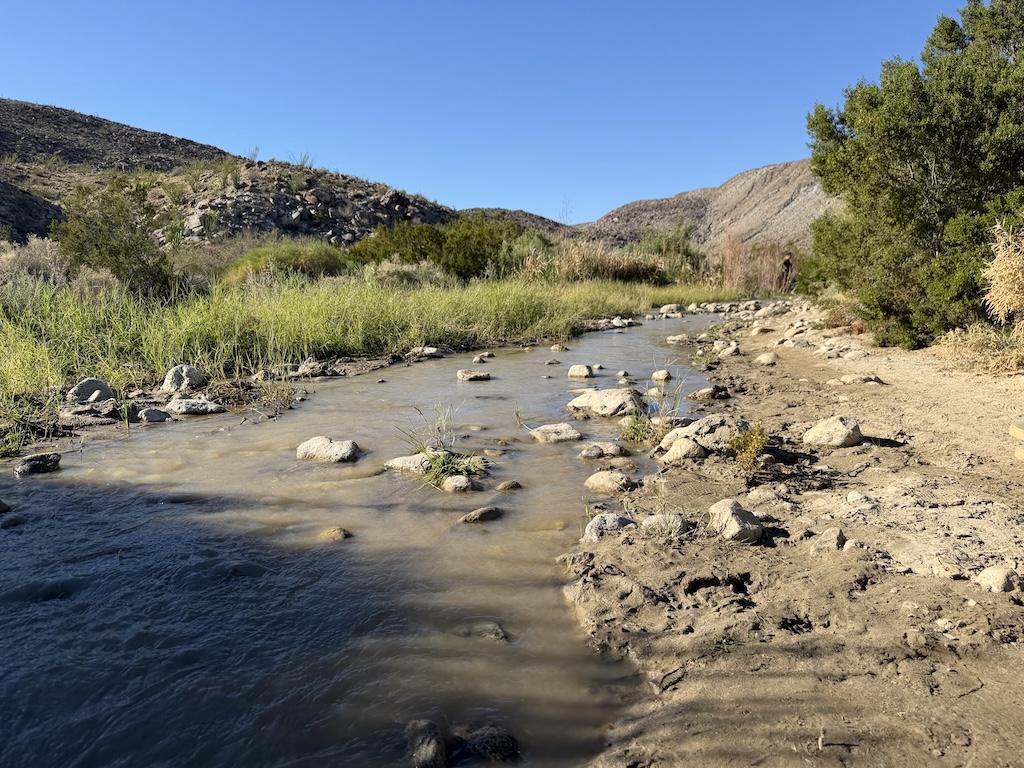 View of creek at Lower Coyote Canyon Road, Anza-Borrego Desert State Park, California