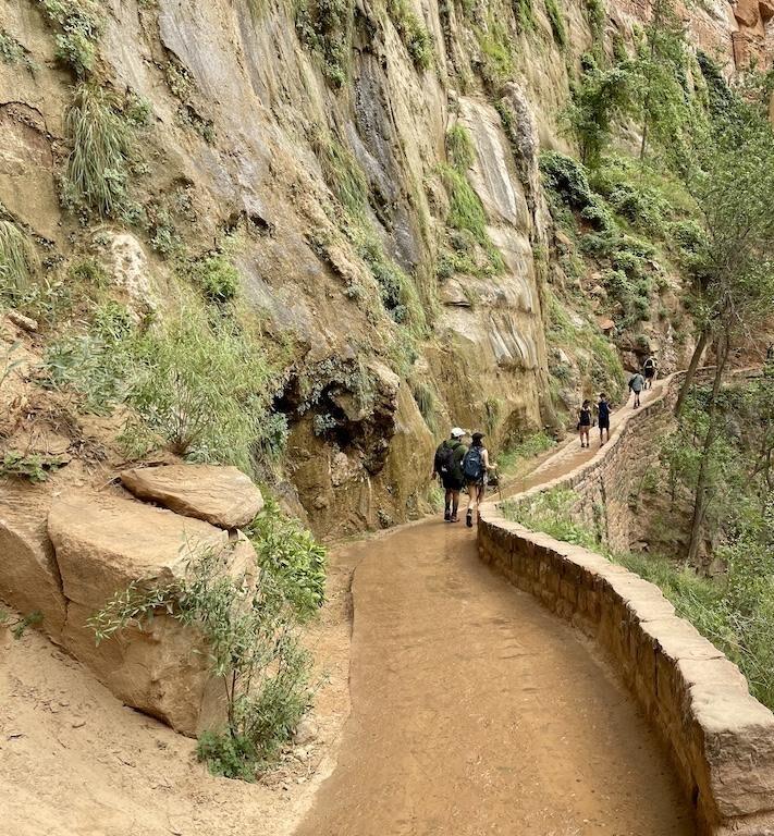 Close up of a man looking down the Riverside Walk in Zion National Park where people are walking on the paved trail